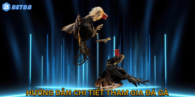 Hướng Dẫn Chi Tiết Tham Gia Đá Gà Trực Tuyến Tại BET88