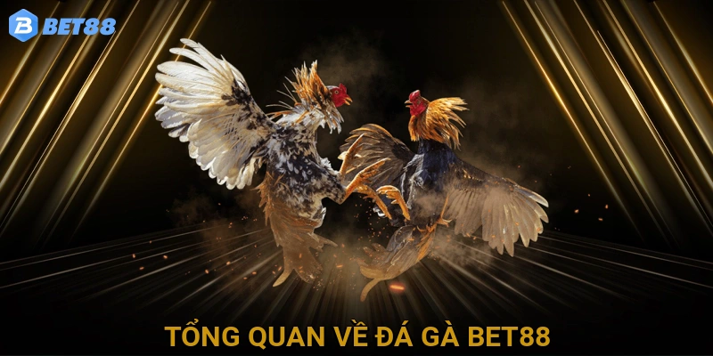 Tổng Quan Về Đá Gà BET88