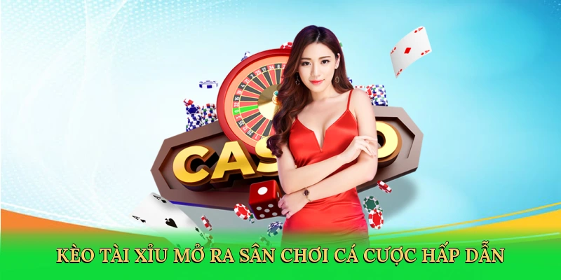 keo-tai-xiu-mo-ra-san-choi-ca-cuoc-hap-dan-2