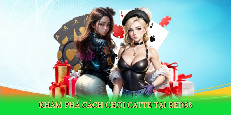 Khám phá cách chơi catte tại RED88